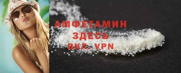 индика Тавда