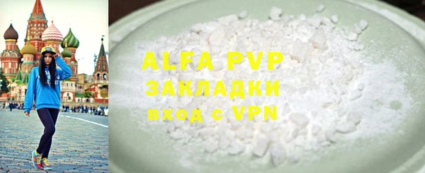 индика Тавда
