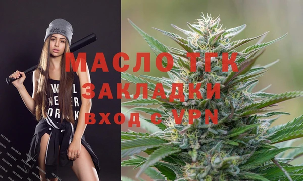 индика Тавда
