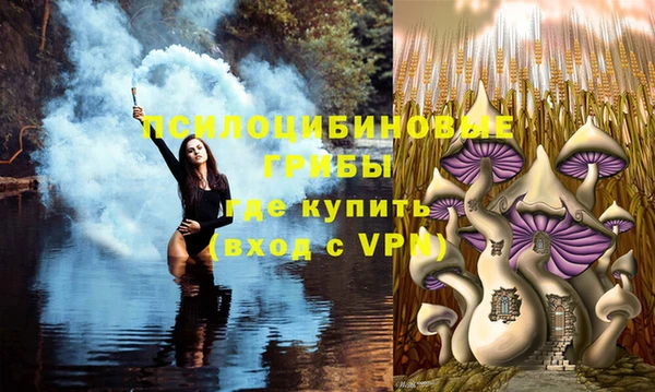 а пвп мука Сясьстрой