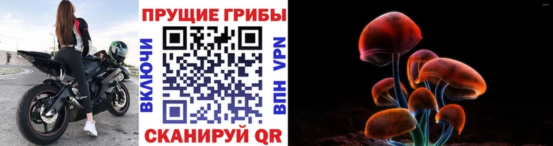 магазин  наркотиков  Нея  omg ONION  Псилоцибиновые грибы Magic Shrooms 